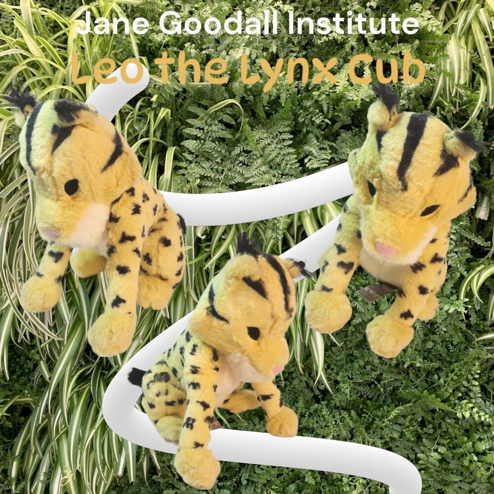 Leo the Lynx Cub Plush Animal Toy Jane Goodall Institute New w/Tag